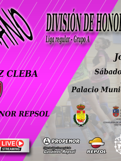 RODRIGUEZ CLEBA – CAMARGO74 PROPENOR REPSOL