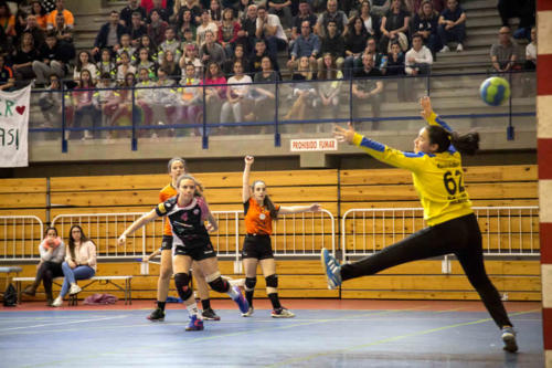 Deportes Balonmano HBC74 Infantil Femenino Zonal Campeonas 190526 - 06